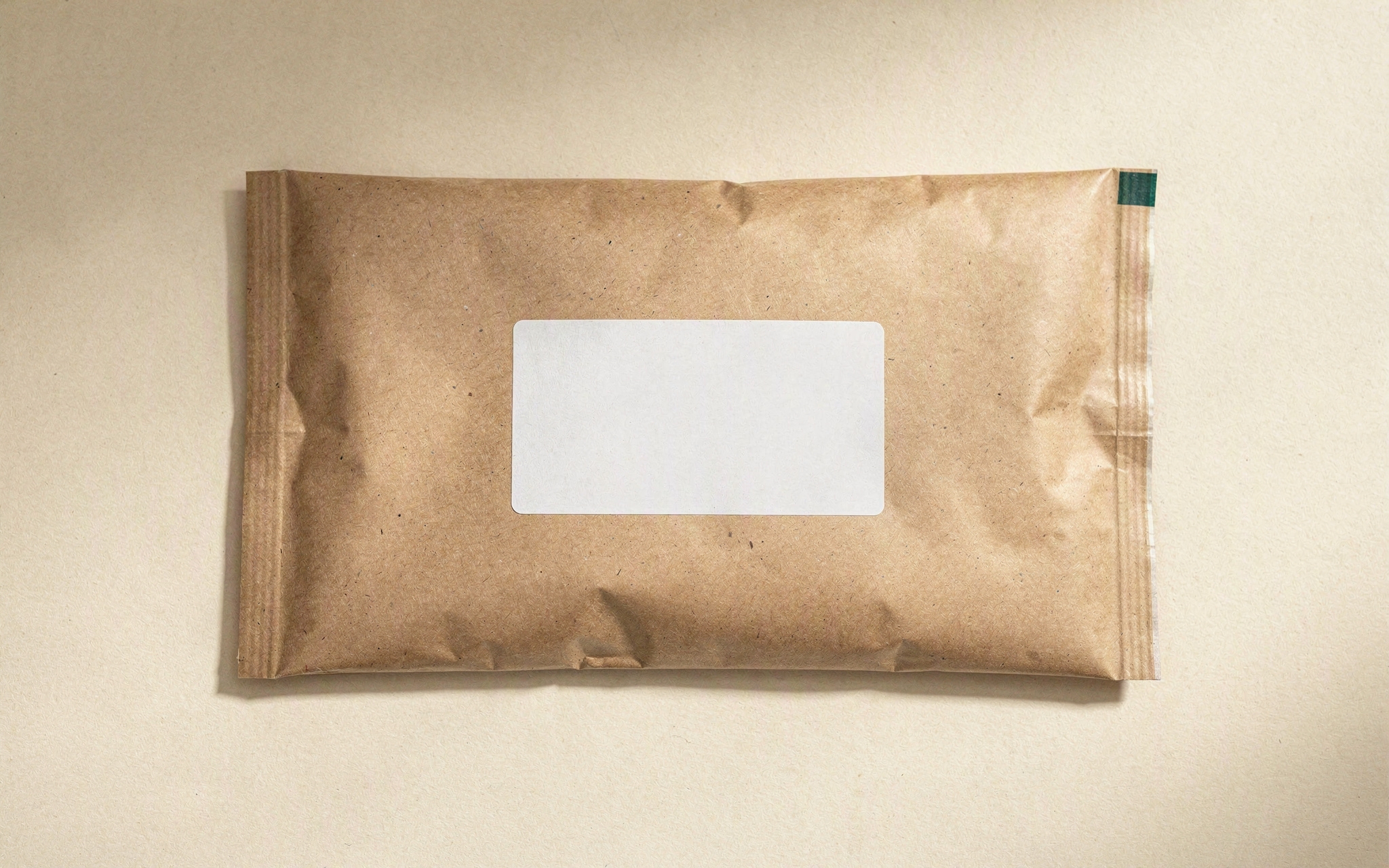 A plain unmarked kraft mailer with a blank shipping label on a pale surface
